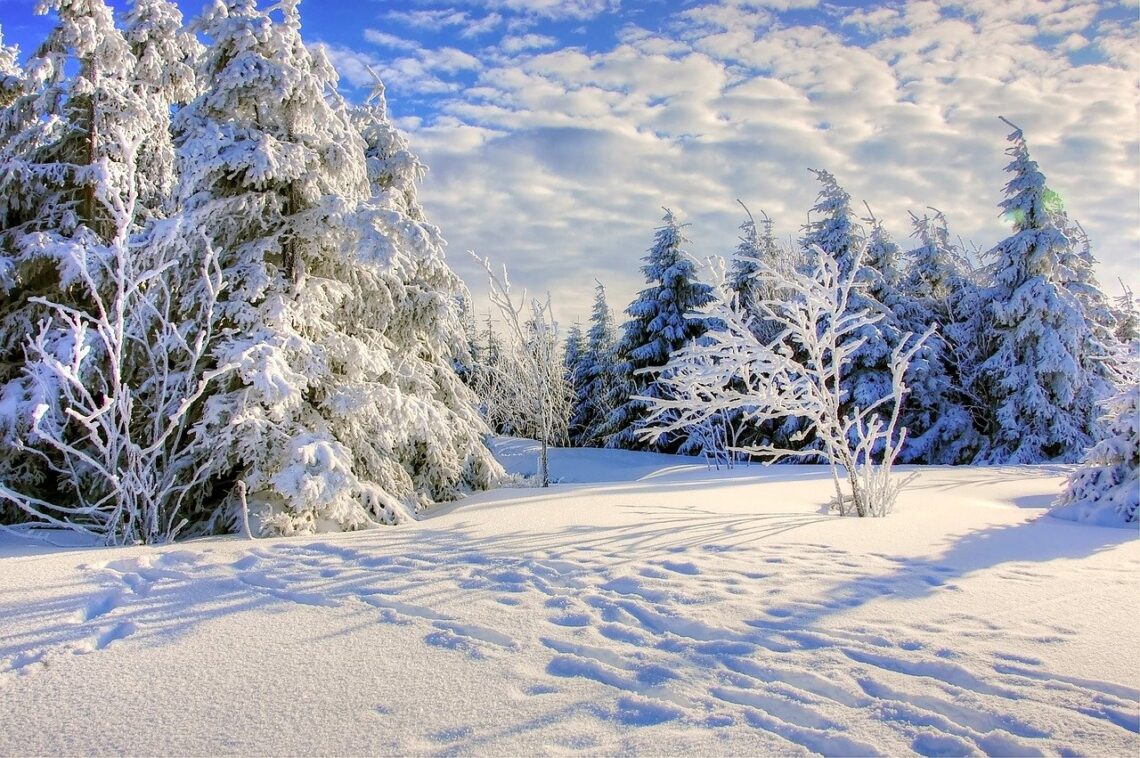 śniegowy krajobraz