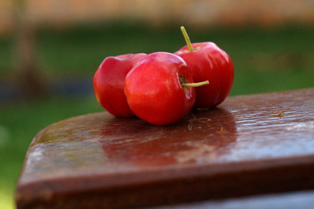 acerola duża ilość witaminy C